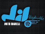مانلی خودرو