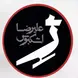 اشکبوس خودرو(2)