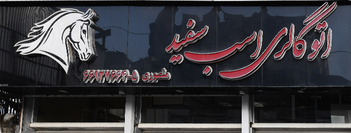 اتو گالری اسب سفید