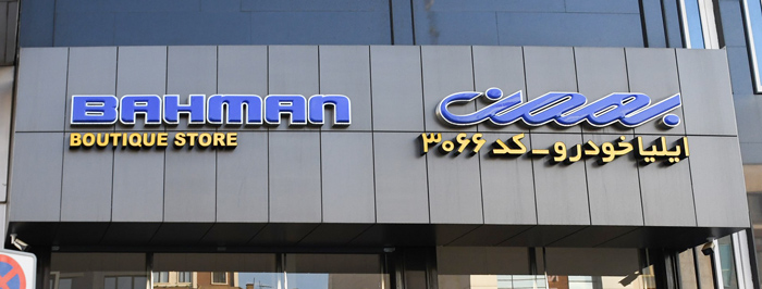 گروه بهمن کد 1066