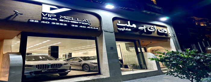 وی آی پی ملت