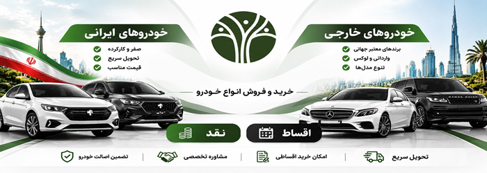 شرکت توسعه تجارت مافی
