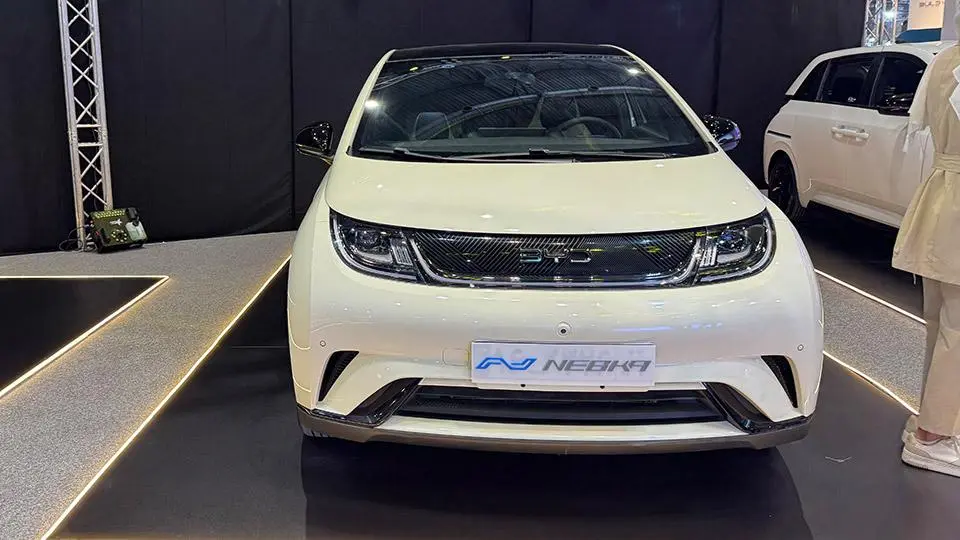 بي واي دي دلفين برقي نبکا