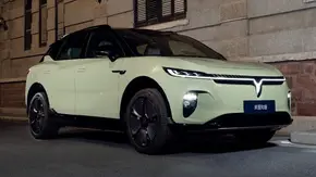 انتشار نخستین تصاویر از وویا ژی یین