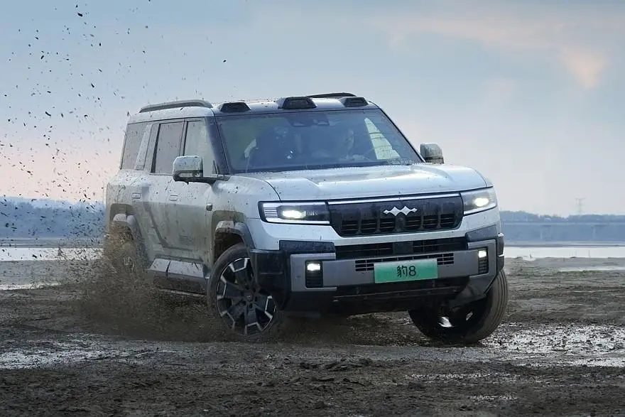 فانگ چنگ بائو لئوپارد 8