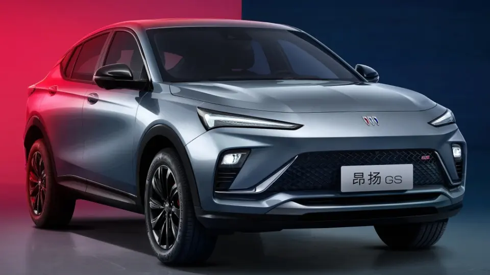 بيوک انويستا