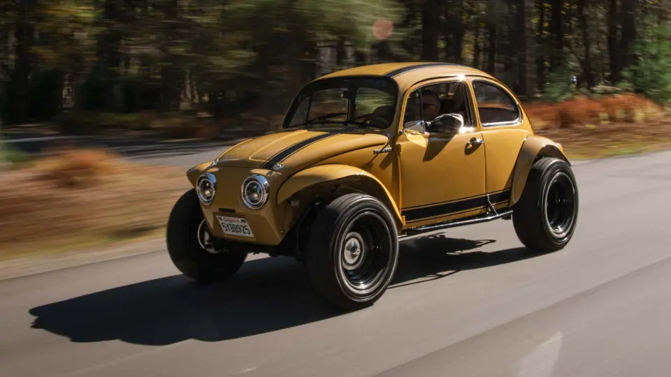 معرفي تيباگ باهاما گلد باگ