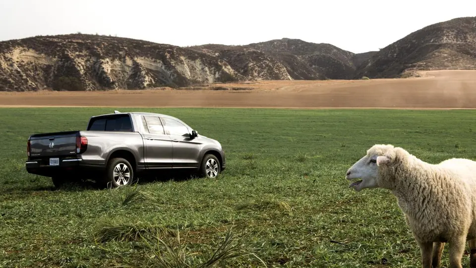 ایالات متحده آمریکا