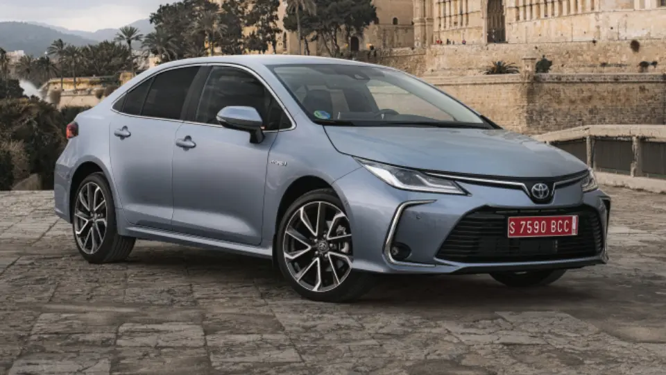 نسل دوازدهم - 2019 تا ...