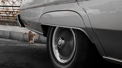 شورولت کاپریس 1975