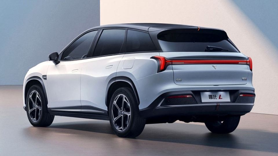 کراس اور برقی هوزون نتا L