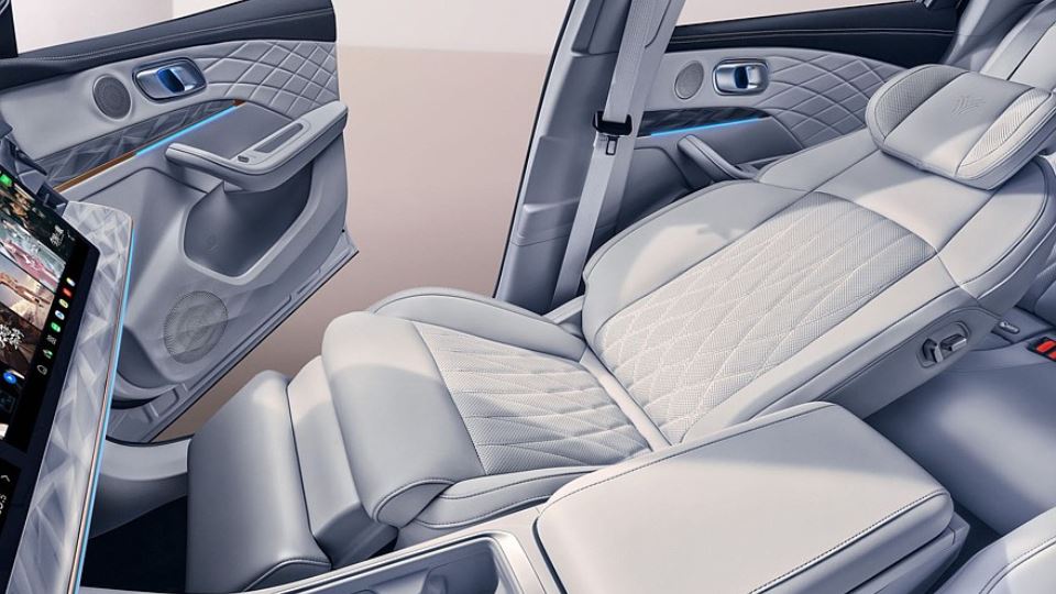 کراس اور برقی هوزون نتا L