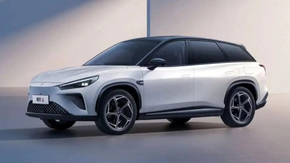 کراس اور برقي هوزون نتا L