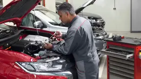 کمپین زمستانه برای مالکین میتسوبیشی