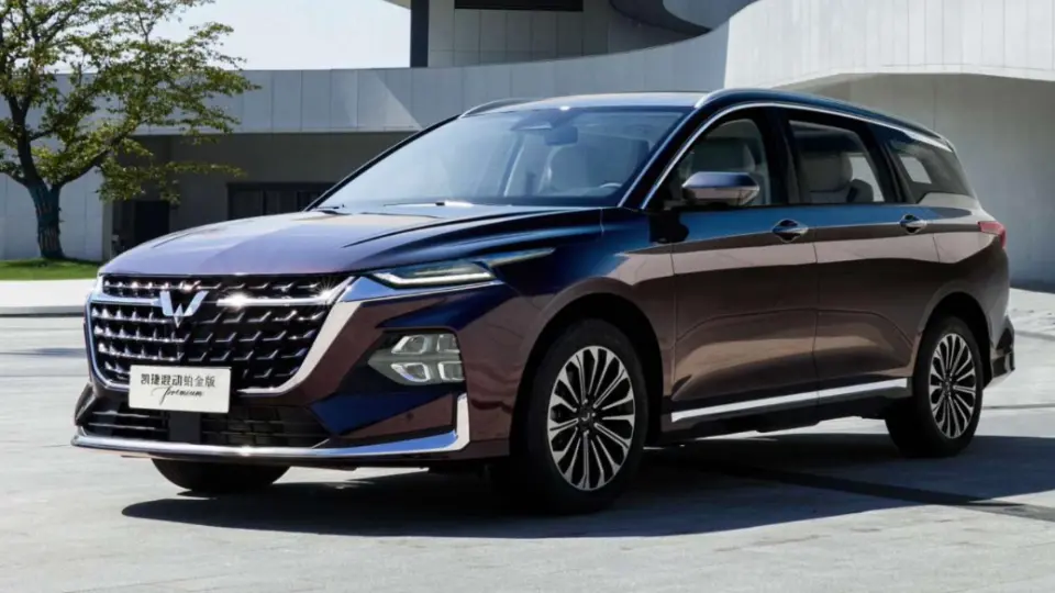 ون هيبريدي سايک وولينگ Capgemini