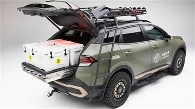 کیا اسپورتیج برای حفاظت از لاک‌ پشت‌ دریایی