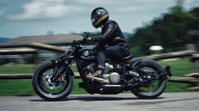 معرفی بندا ناپلئون باب 250 منبع سایت باما