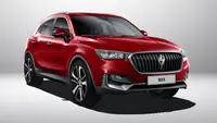 بورگوارد BX5