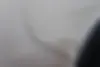 کوییک  اتوماتیک پلاس