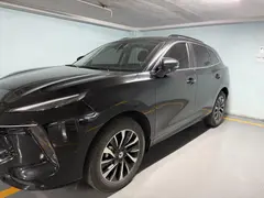 لاماری، ایما