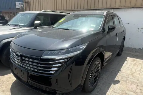 نیسان، پت فایندر