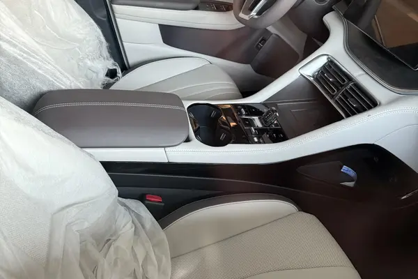 بی وای دی، سانگ پلاس DMi