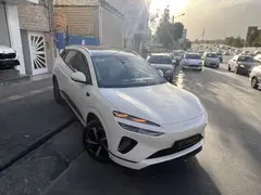 بی وای دی، سی لاین 06 DMi