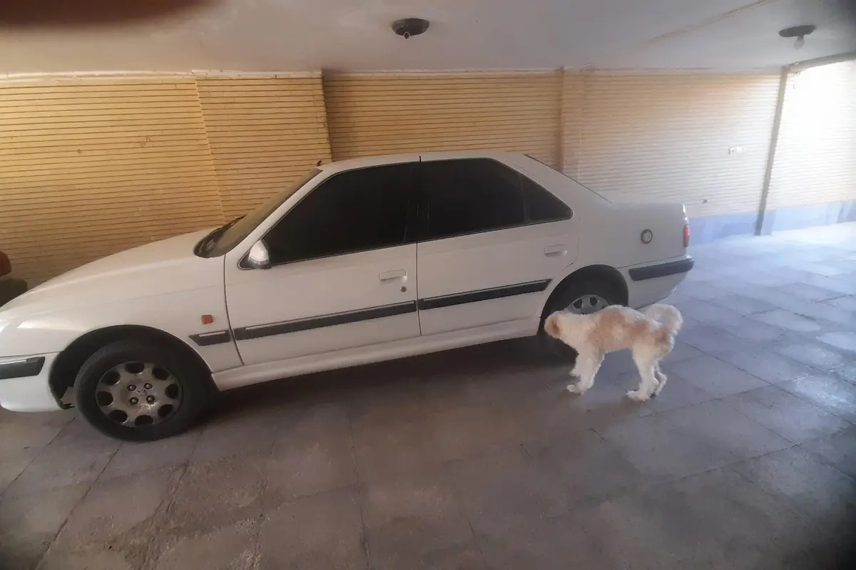 پژو،  پارس