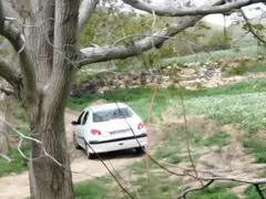 پژو، 206 SD