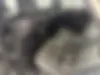لکسوس  NX