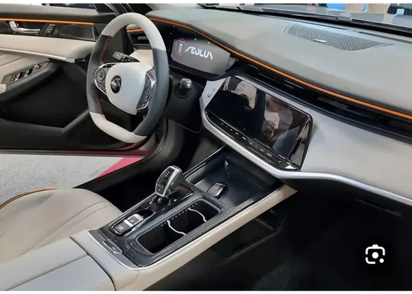 دانگ فنگ، شاین مکس