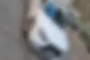 دنا،  پلاس EF7P