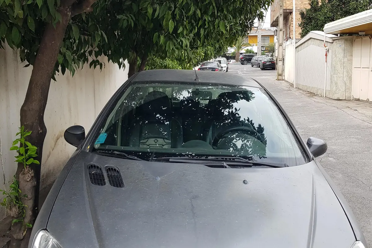 پژو،  206