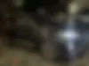 فونیکس،  تیگو 7 پرو
