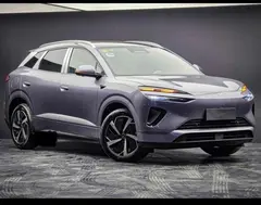 حواله بی وای دی، سی لاین 06 DMi