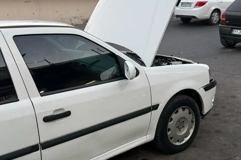 فولکس،  گل