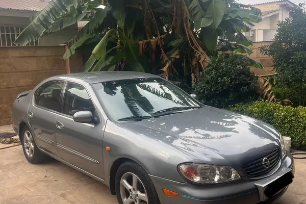 نیسان، ماکسیما