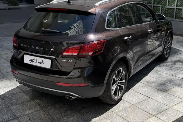بورگوارد  BX7