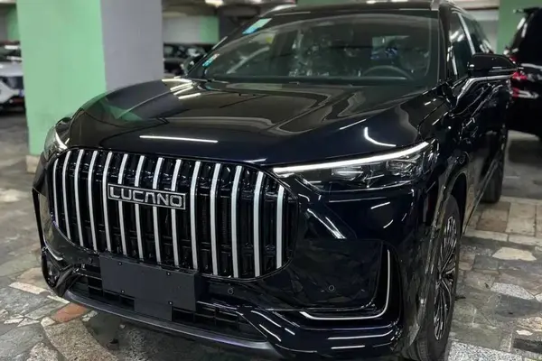 حواله لوکانو، L8