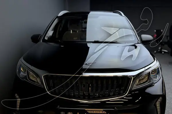 پیش فروش بی ای سی، X3 PRO