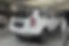 رنو،  داستر