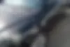 جیلی،  امگرند 7