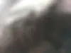 پراید  132