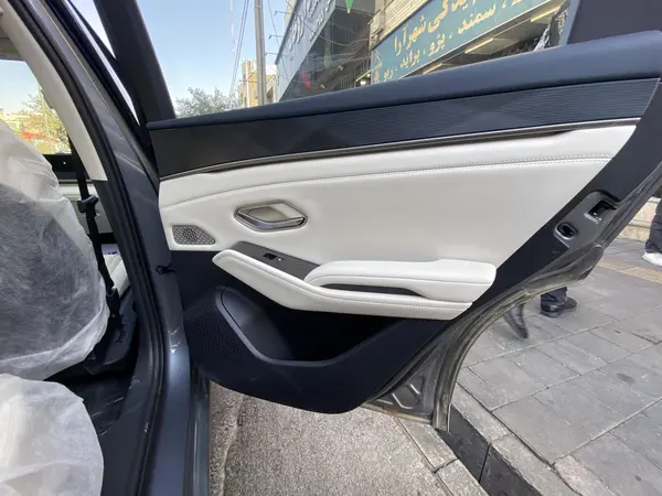 بی وای دی، چین L