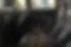 لکسوس،  RX