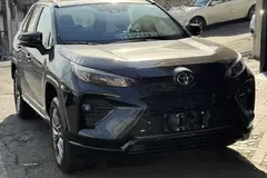 تویوتا، وایلدلندر