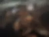 بنز،  کلاس C
