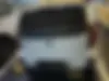کیا  پیکانتو