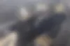 کیا  سورنتو
