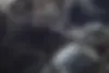 کیا  اپتیما